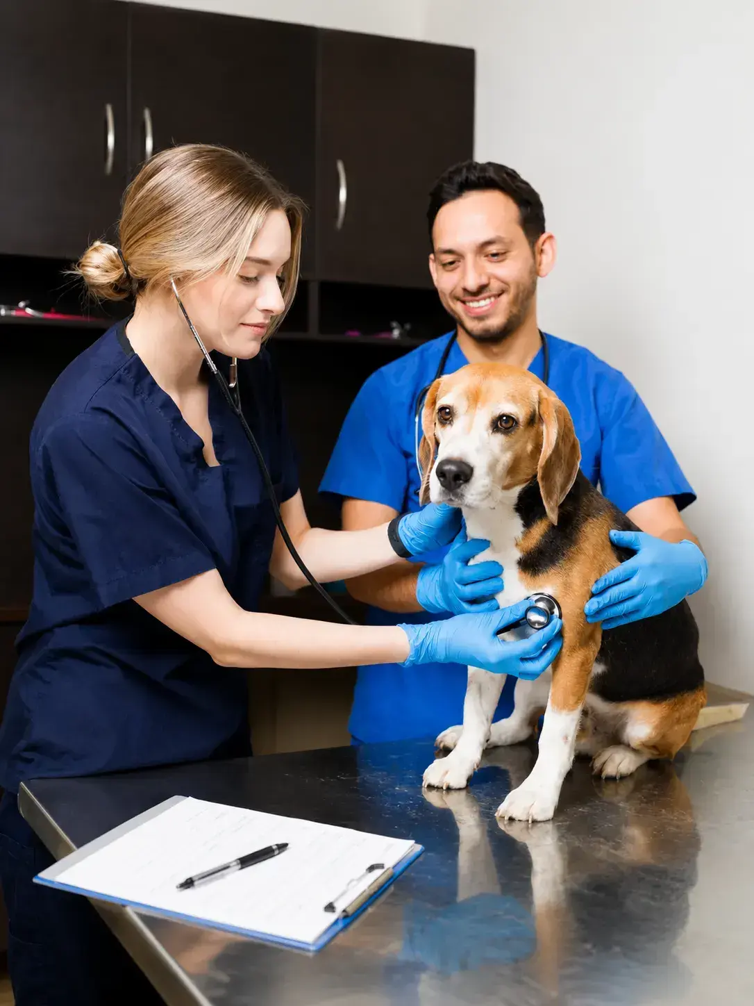 Veterinary Clinics